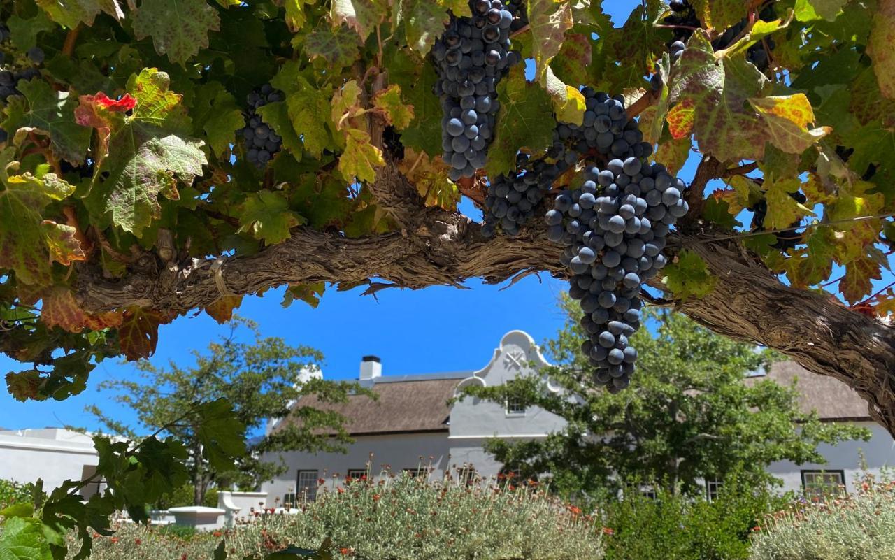 פרנצ'הוק The Vineyard Cottage By L' Amitie Estate מראה חיצוני תמונה